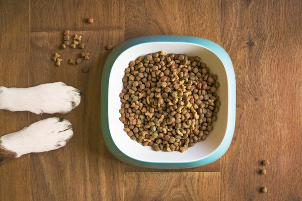 Of Dog Food and Demo's